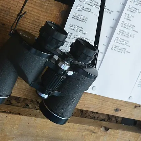 Plano5 - Robust Design B&B 2*