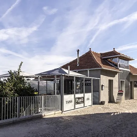 Plano5 - Robust Design B&B